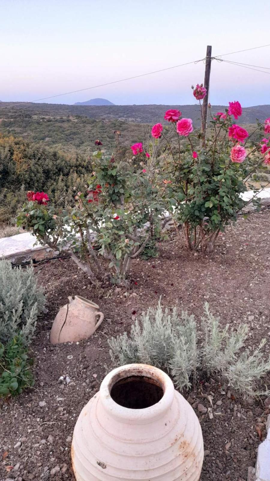 Tsipouras House Villa Kythira Town Bagian luar foto